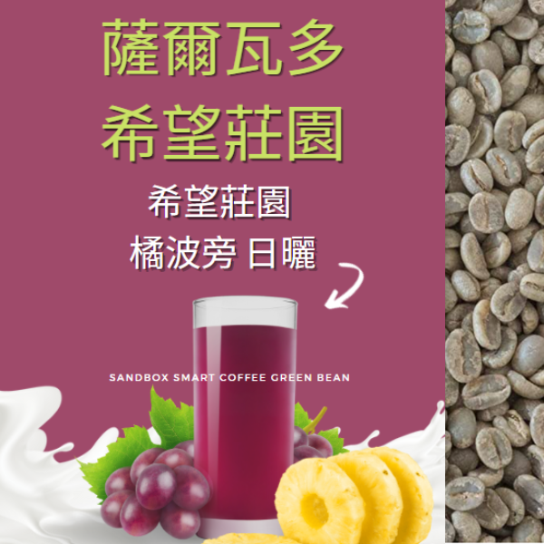 蕯爾瓦多 帕卡斯 希望莊園 橘波旁 日曬