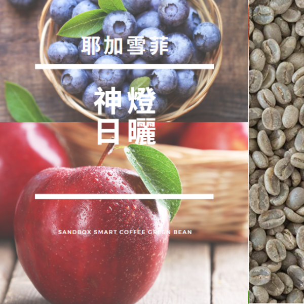 衣索比亞 耶加雪菲 神燈 日曬